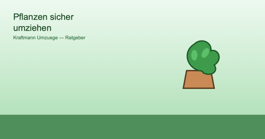Illustration eines Blumentopfs mit Pflanze als Sinnbild für den sicheren Umzug von Zimmerpflanzen