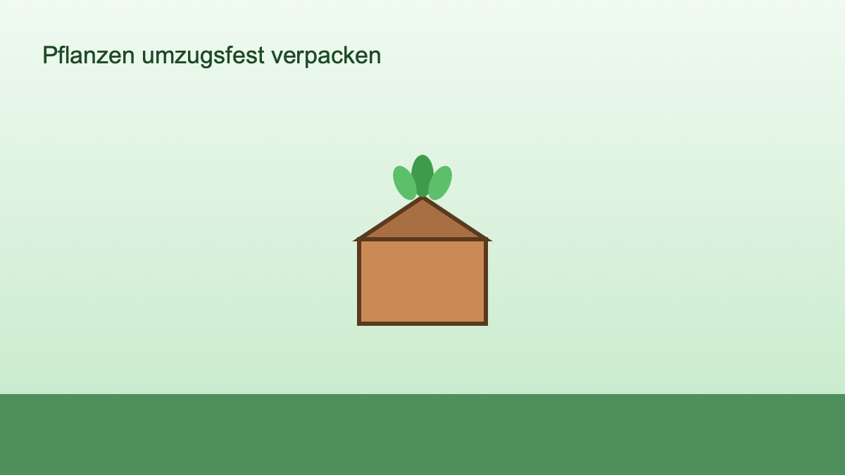 Symbolbild eines Pflanztopfs im Umzugskarton